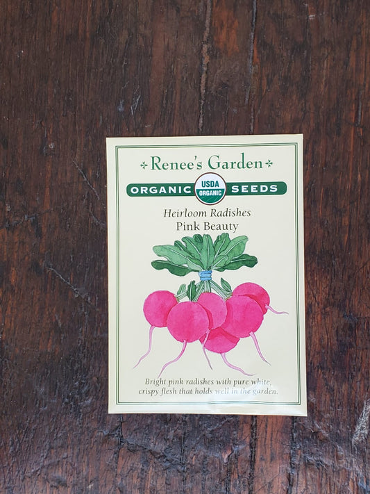 Radish Pink Beauty Organic Seed