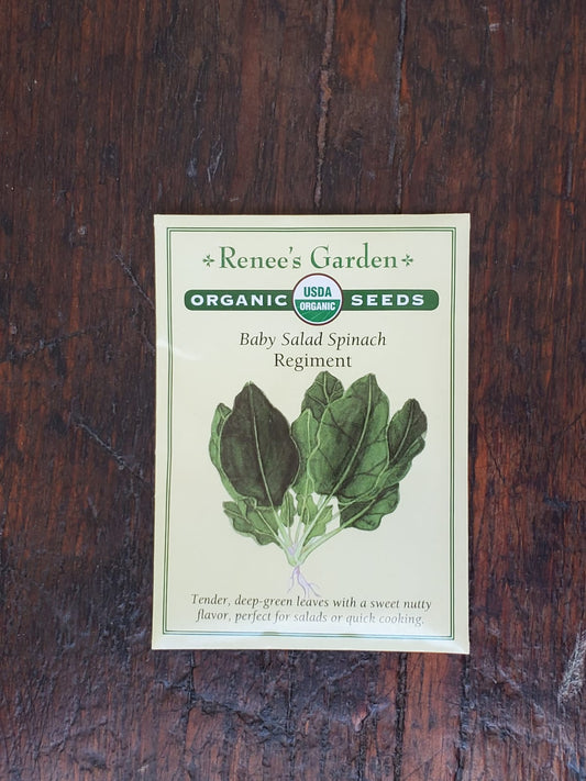 Spinach Baby Leaf Regiment Organic Seed