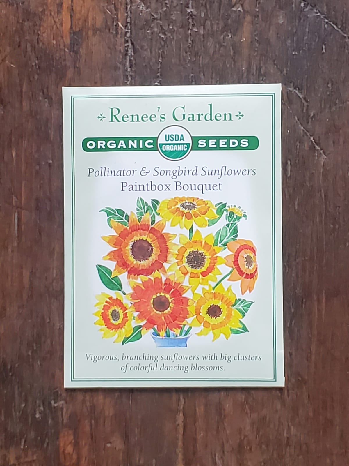 Sunflower Paintbox Bouquet Organic Seed - Georgina Garden Centre