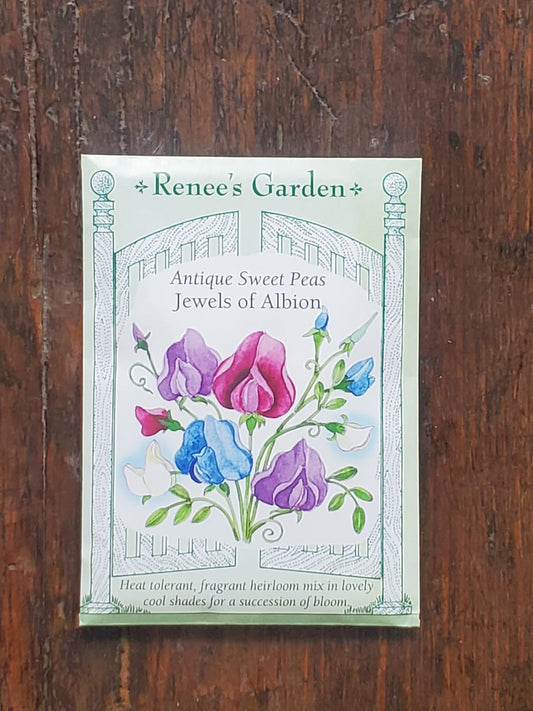 Sweet Peas Jewels of Albion Antique Seed - Georgina Garden Centre