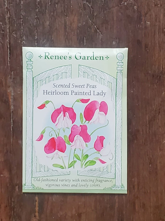 Sweet Peas Heirloom Painted Lady Scented Seed - Georgina Garden Centre