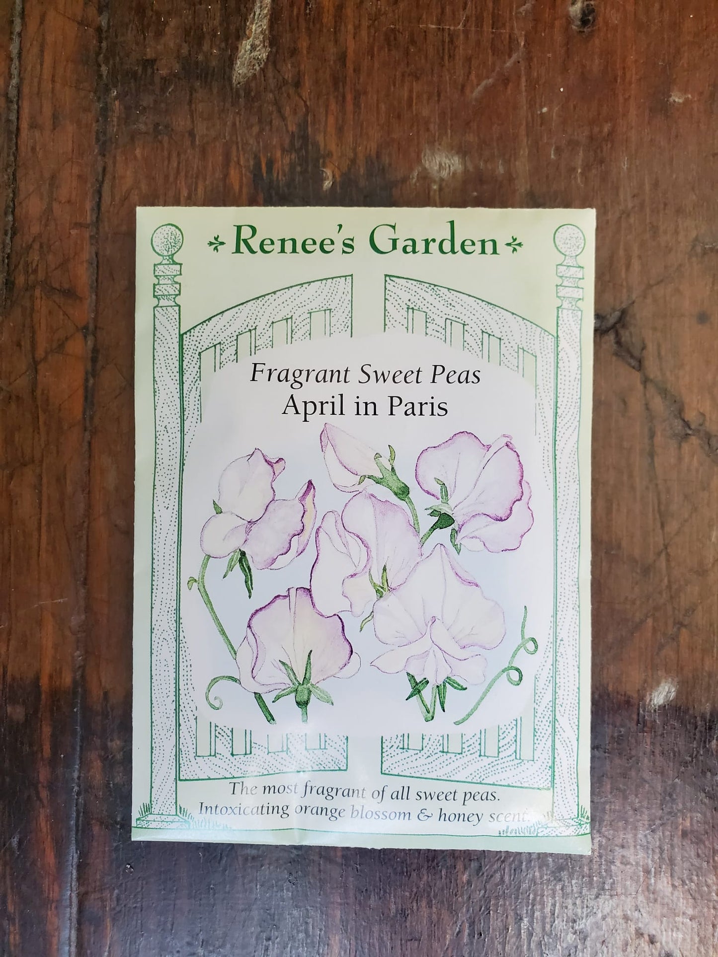 Sweet Peas April in Paris Fragrant Seed