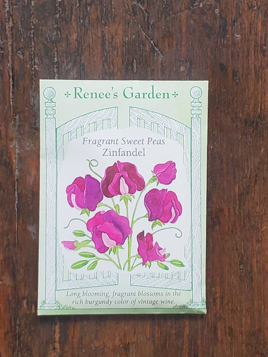 Sweet Peas Zinfandel Fragrant Seed - Georgina Garden Centre