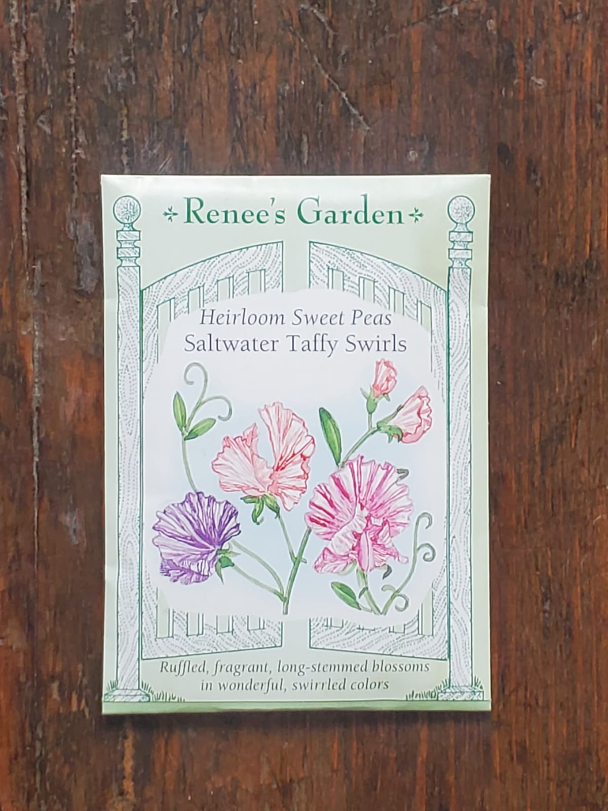 Sweet Peas Raspberry Twirl Fragrant Seed - Georgina Garden Centre