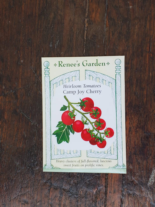 Tomato Cherry Camp Joy Seed - Georgina Garden Centre