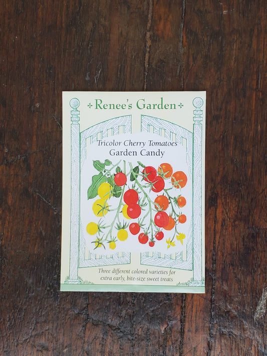 Tomato Cherry Garden Candy Seed