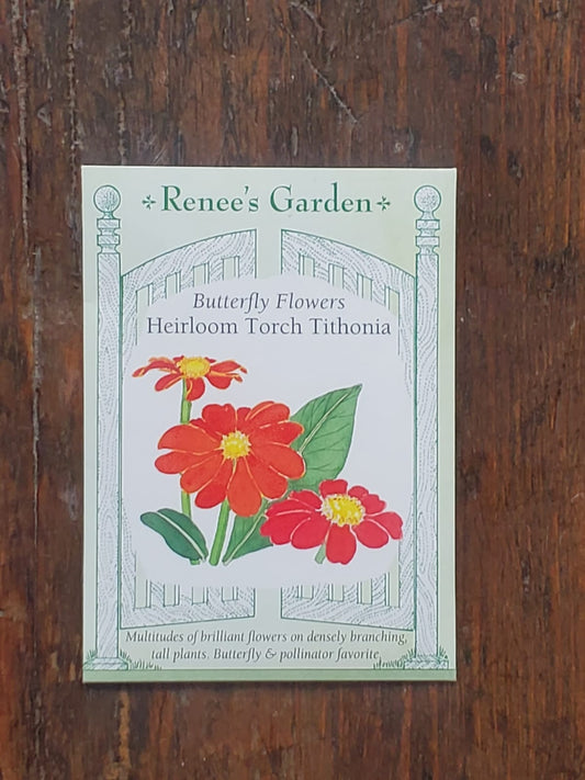 Torch Tithonia Seeds - Georgina Garden Centre