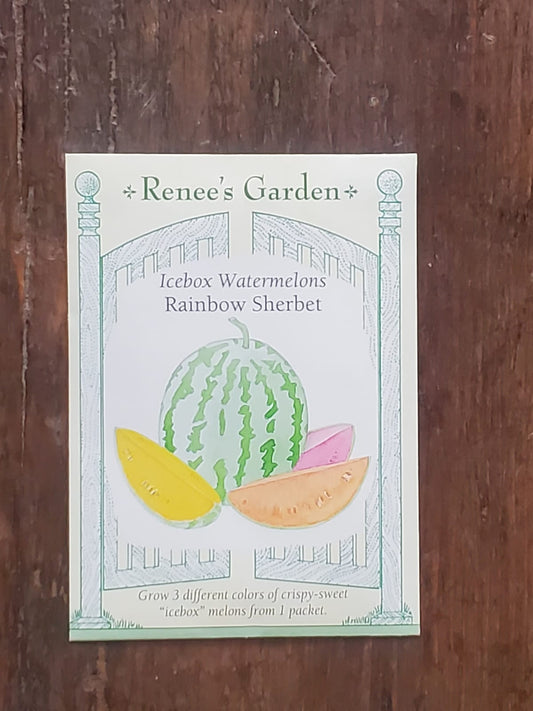 Watermelon Rainbow Sherbet Seed - Georgina Garden Centre